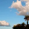 chaakoukv