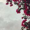 f5fff555