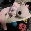 smol_axolotl