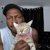kokoadonis_the_cat