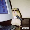 dill_rodrigx
