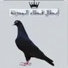 مرتضى الفريجي