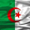 couscousalgerien68