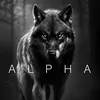 .alpha103