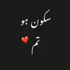 shehzadijaan1101