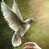 birdsmagine