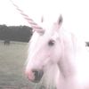 fionaisawesomee