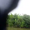 ly.minh368