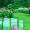luyen_luon