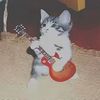 the_kitty36
