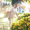 trn.quynh_