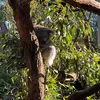 arian_0717