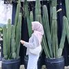 septinurahmaniaa16_