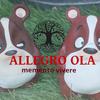 allegro_ola