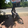 doibacvaysao