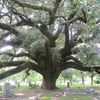 folkloreparanormal2