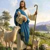 user6812073127037