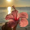 elvvin_11