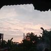 sillv84