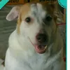 samanthaq_2