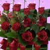 user1511212153824