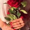 marwa.el057