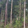 suwardi.ardisuryo
