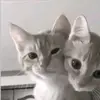 huki_moroko
