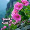 rajkumarlama.com