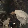 user98ff7kbkte