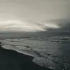 vibesorich