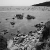 eljarrita12