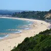 beachboya1