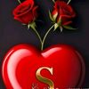 md.shafipul