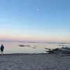 _elsafarneland