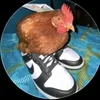 felipedaziocapel