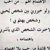 mohsenelkady15