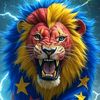 lion_blesse235