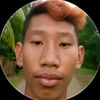 sapi_1991