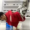 Bboy shin