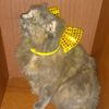 hilda.caton