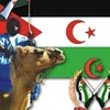 muradbsahrui