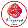 barseed.ka.zeetar