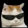 dabloonpoliceclown