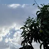 unknown_person_20047
