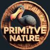 Primitive Nature
