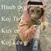 sinhhoangvansinh85