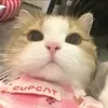 linhtinhphing