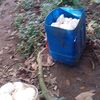 tristesolitaria170