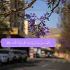 quraan_karim166